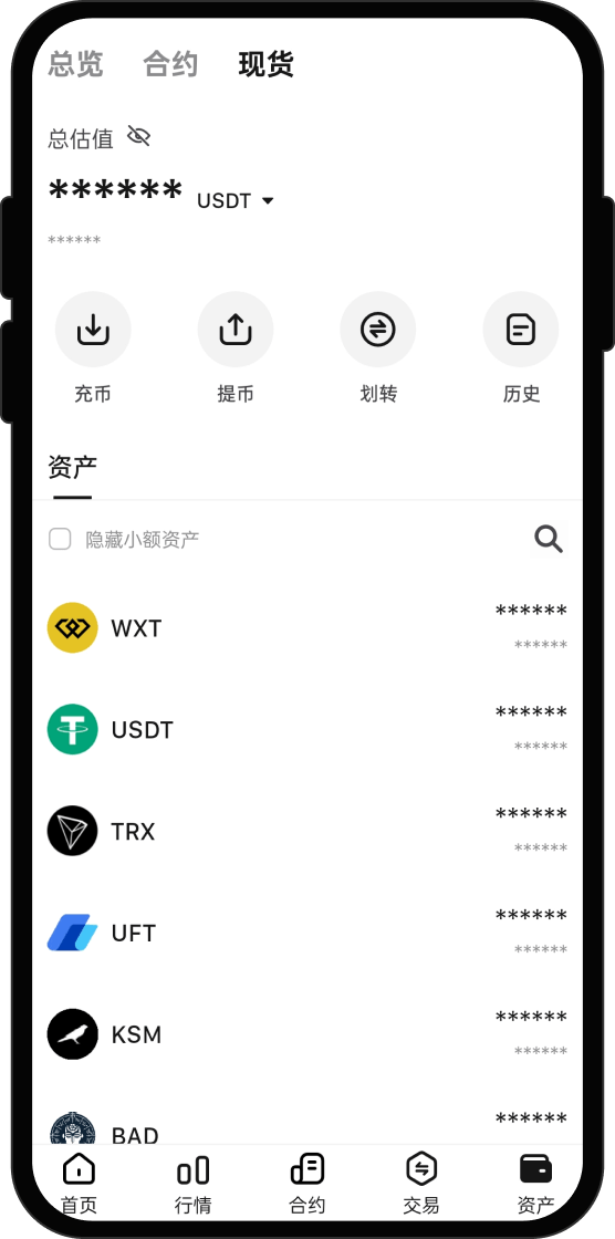 购买 Blood (BLOOD) 后我能做什么?