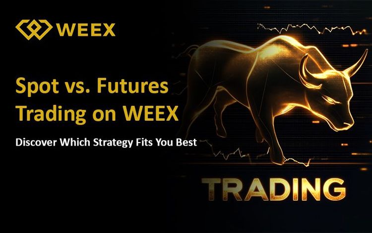 WEEX 现货与合约交易的区别：哪种更适合您？